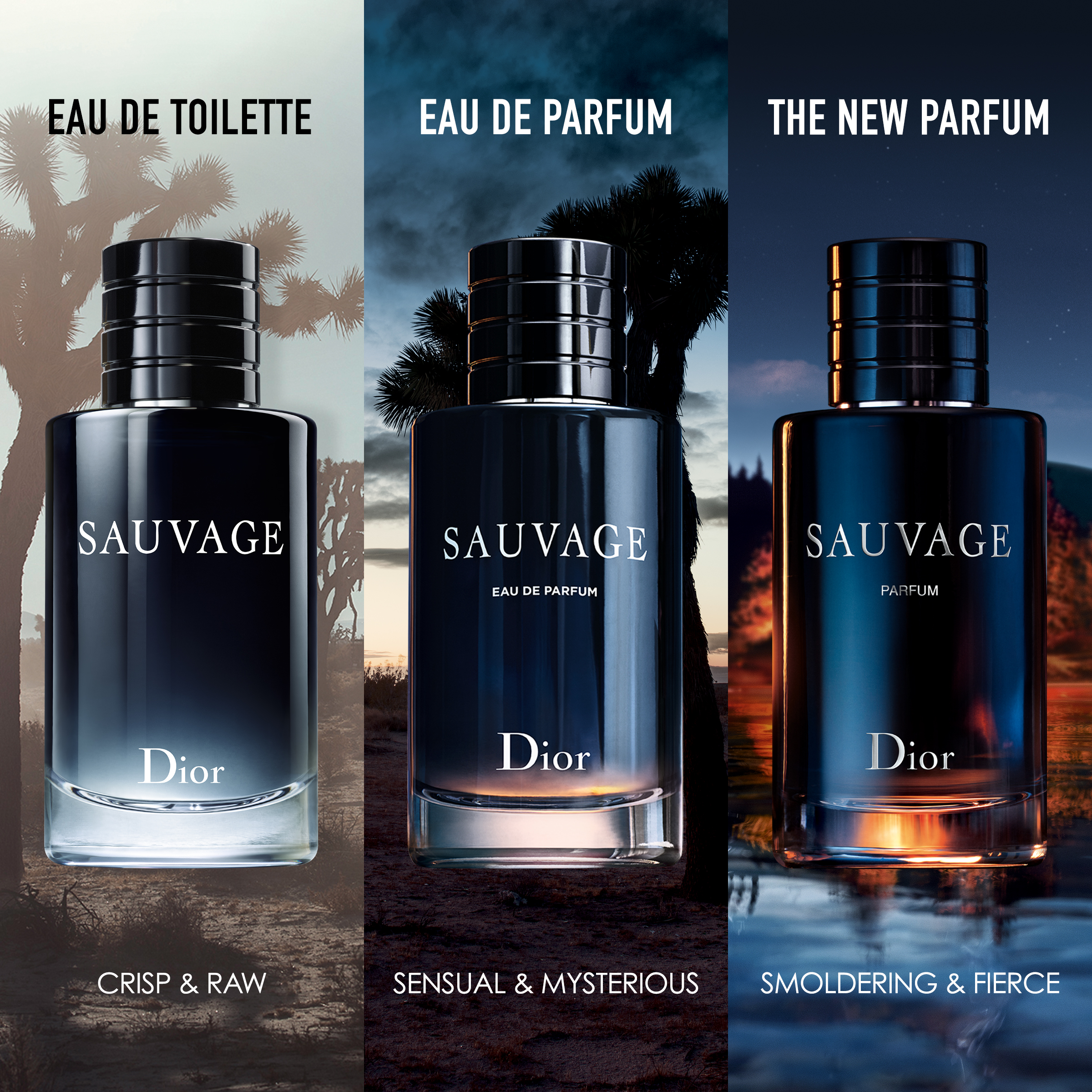 Sauvage EdT 60 ml - DIOR - KICKS