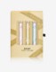 Daisy Giftbox Daisy Giftbox