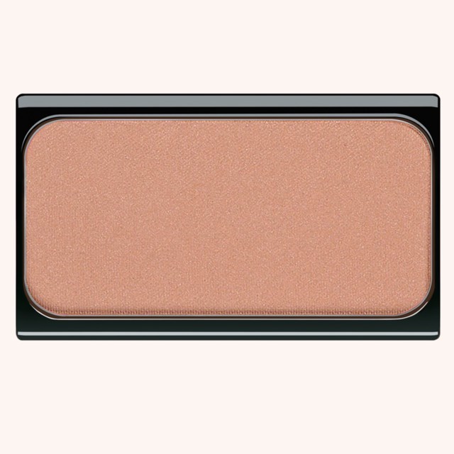 Blusher 13 Brown Orange Blusher 13 Brown Orange