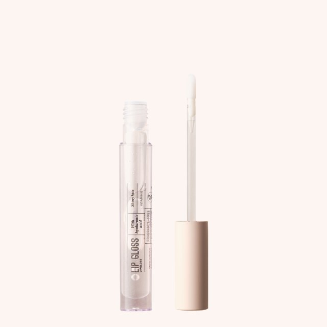 Lip Gloss 00 Lip Gloss 00