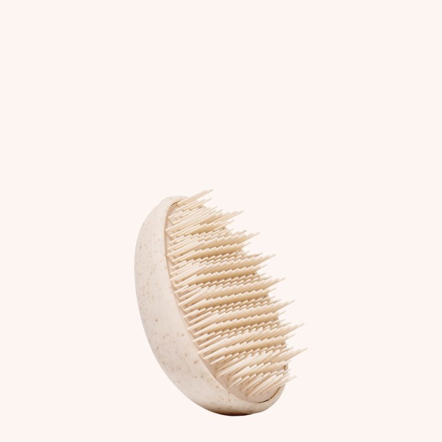 Wet Hair Detangler Brush Wet Hair Detangler Brush