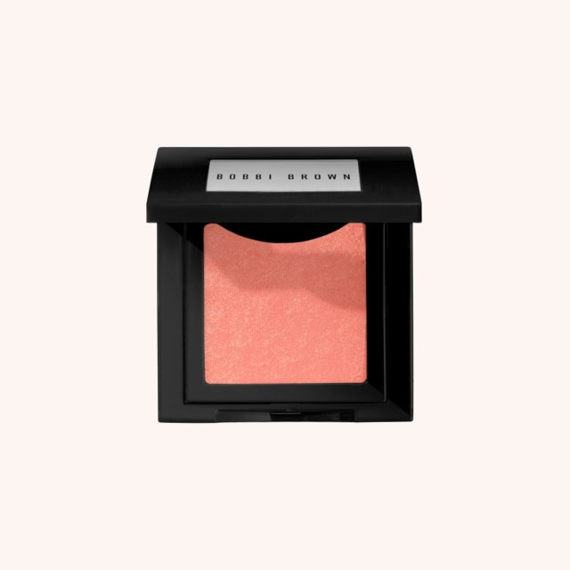 Blush Rooftop Rose Blush Rooftop Rose