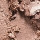 Eye Shadow x 15 In The Flesh Eye Shadow x 15 In The Flesh